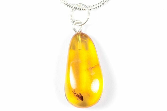 Polished Baltic Amber Pendant (Necklace) - Contains Fly! #358015